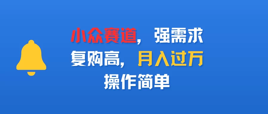 小众赛道，强需求，复购高，月入过万，操作简单-小二项目网