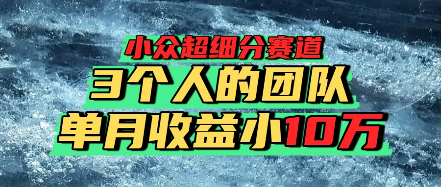 小众超细分赛道，一年百万利润的盘子！-小二项目网