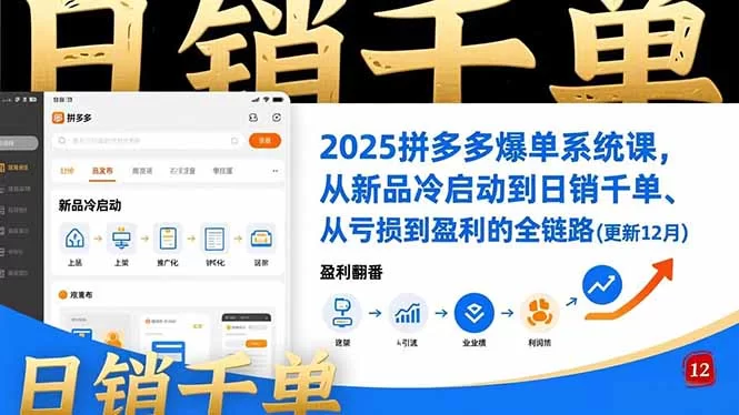 （16894期）2025拼多多爆单系统课，从新品冷启动到日销千单、从亏损到盈利的全链路（更新12月）-小二项目网