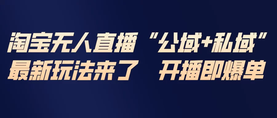 （17098期）淘宝无人直播最新玩法，包含私域和公域两种玩法-小二项目网