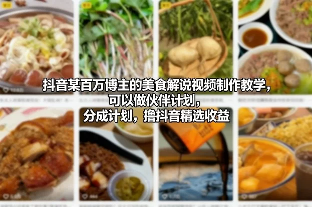 抖音某百万博主的美食解说视频制作教学，可以做伙伴计划，分成计划，撸抖音精选收益-小二项目网
