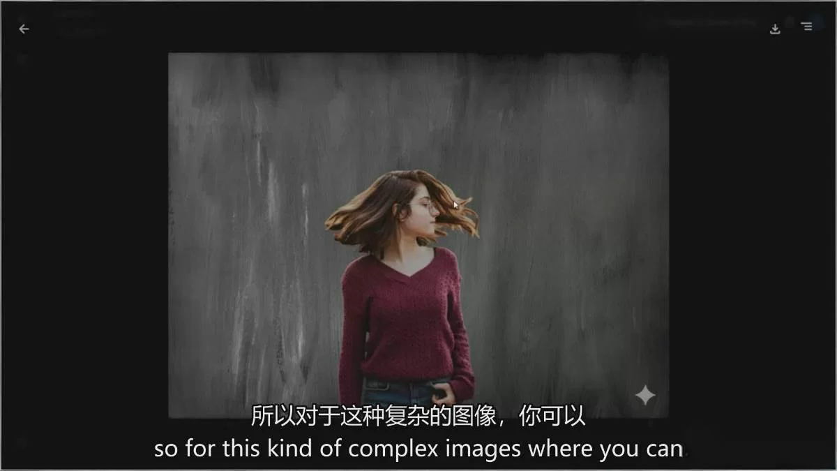 图片[4]-Google Nano Banana全能课：从入门到精通，AI照片编辑与创意设计全掌握-小二项目网