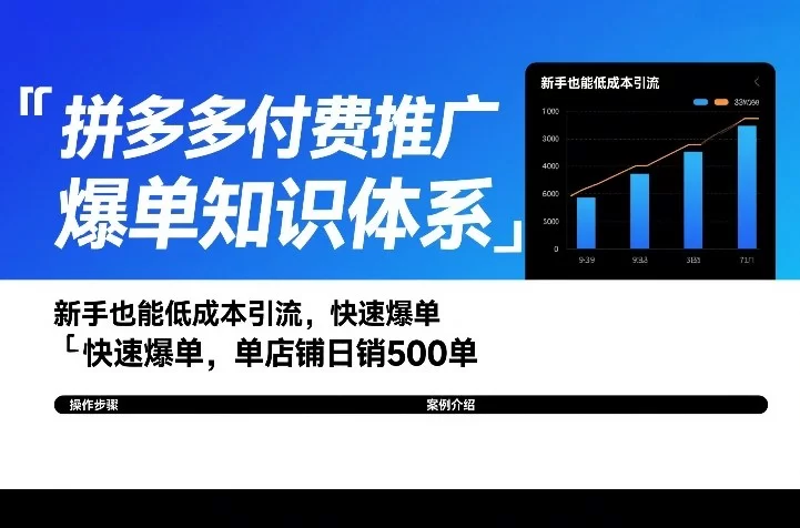 拼多多付费推广爆单知识体系，新手也能低成本引流，快速爆单，单店铺日销500单-小二项目网