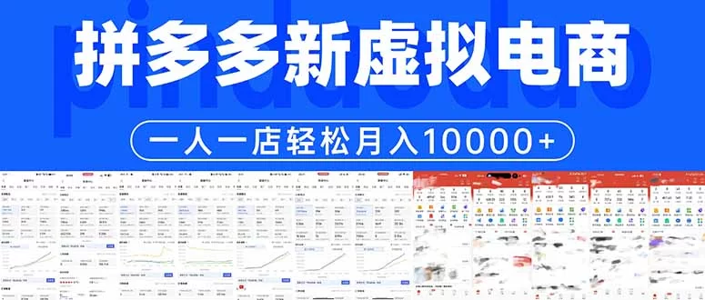 （17978期）拼多多虚拟电商一人一店轻松月入10000+-小二项目网