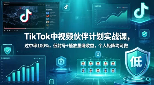 TikTok中视频伙伴计划实战课，过中率100%，低封号+播放量賺收益，个人矩阵均可做-小二项目网