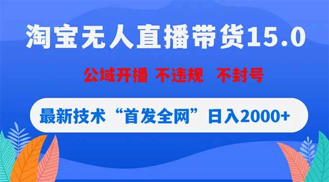 （18562期）淘宝无人直播带货15.0，不封号，不违规，公域玩法，首发全网日入2000+-小二项目网