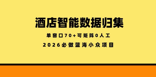 酒店智能数据归集，小众蓝海已经稳定半年之久，单窗口70+零成本矩阵开干【揭秘】-小二项目网