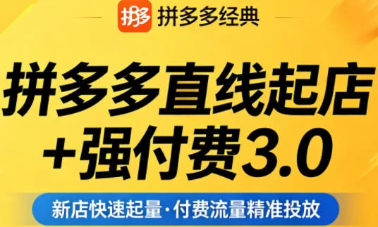 拼多多直线起店+强付费3.0，教你稳定起店、高效控投产、破解流量瓶颈（更新6月）-小二项目网