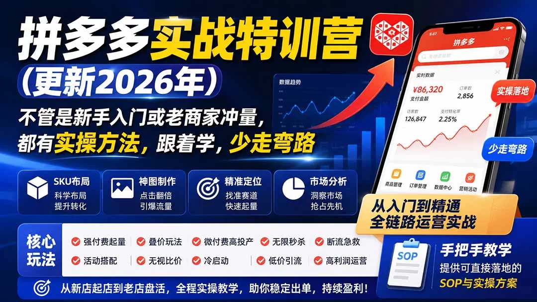（20092期）拼多多实战特训营(更新26年0827)：不管是新手入门或老商家冲量，都有实操方法，跟着学，少走弯路-小二项目网