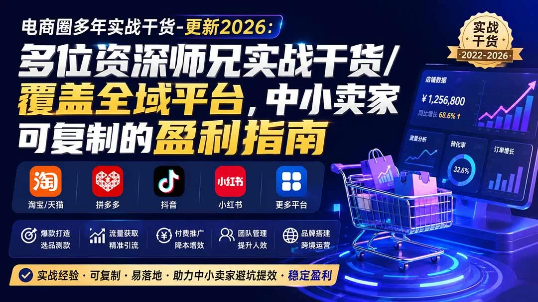 （20347期）电商圈多年实战干货-更新2026：多位资深师兄实战干货/覆盖全域平台，中小卖家可复制的盈利指南-小二项目网