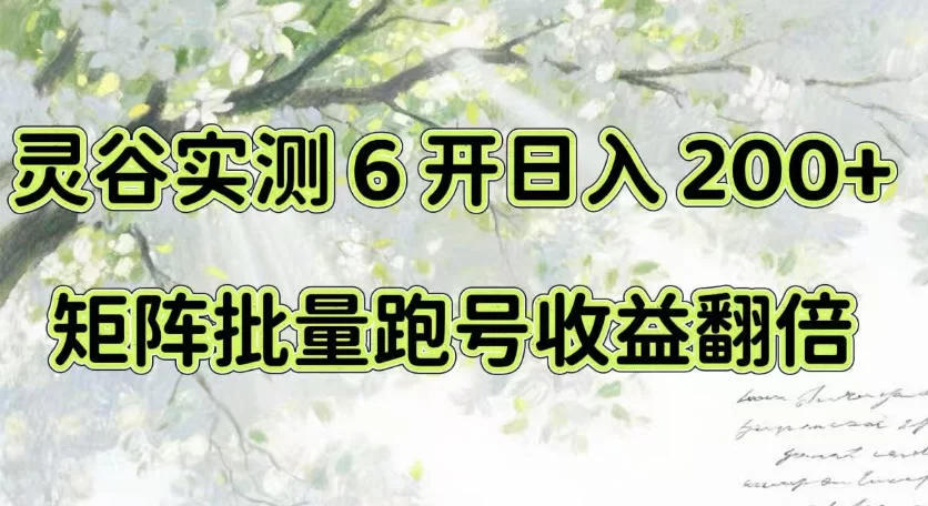 一台电脑就能做！灵谷实测6开日入200+，矩阵批量跑号收益翻倍【揭秘】-小二项目网