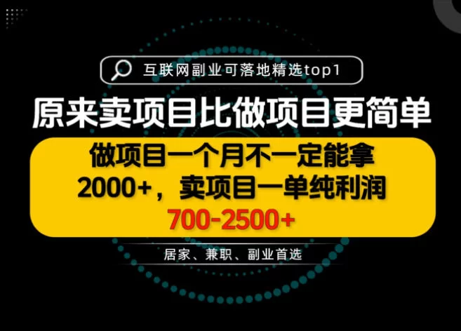 一单利润700-2.5K+，为什么我们要卖项目而不是做项目，我们普通人应该怎样开始？【揭秘】-小二项目网