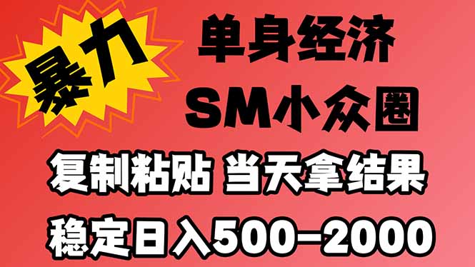 （21205期）26年 最新小众情感赛道，手机操作，十分钟见收益，小白也能当天上手，全程复制粘贴模板即可，稳定日入1k+-小二项目网