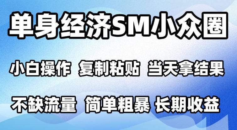 2026最新小众情感赛道，手机操作，十分钟见收益，小白也能当天上手，全程复制粘贴模板即可，单日1k＋可批量放大【揭秘】-小二项目网