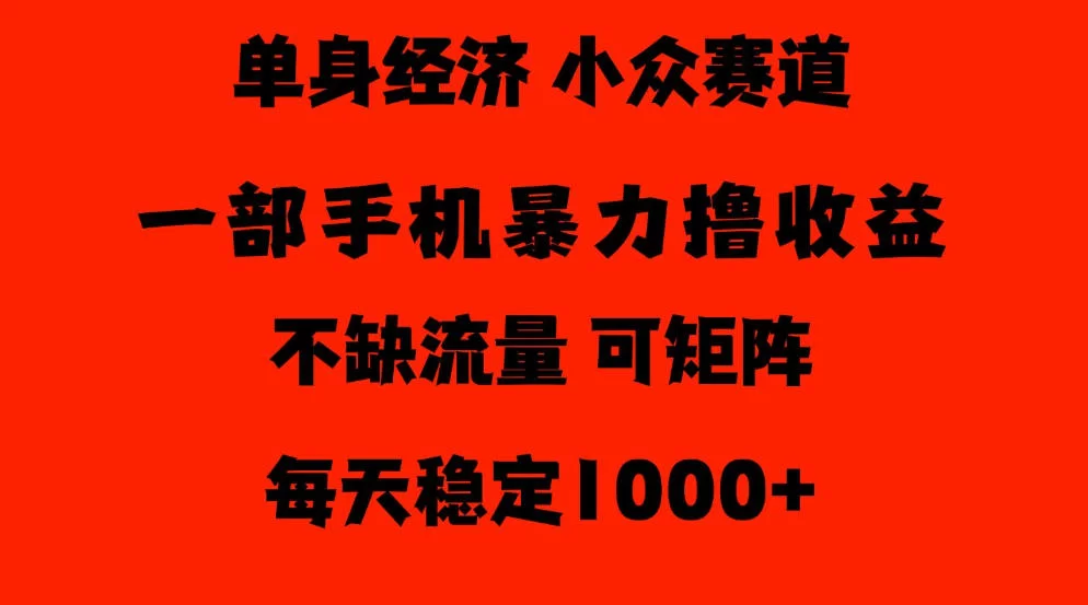 26年暴力单身经济，稳定日入500-1k，不缺流量，流量极大，冷门小众赛道，门槛低小白轻松上手【揭秘】-小二项目网
