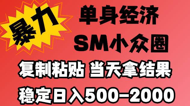 2026最新小众情感赛道，手机操作，十分钟见收益，小白也能当天上手，全程复制粘贴模板即可，稳定日入500-1k，不缺流量，可矩阵批量操作，门槛低【揭秘】-小二项目网